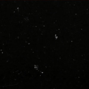 Quartz Galaxy Series Dark Knight